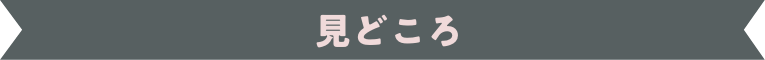 見どころ
